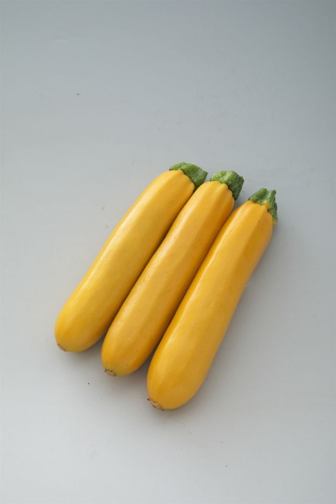 <{$recommend_item.list[i].name}>