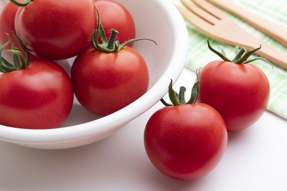 タキイ種苗 トマト種子 TYフルティカSC【取り寄せ注文】【2026年春種予約商品】