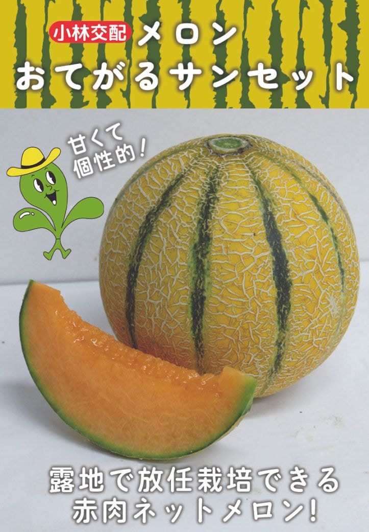 <{$recommend_item.list[i].name}>