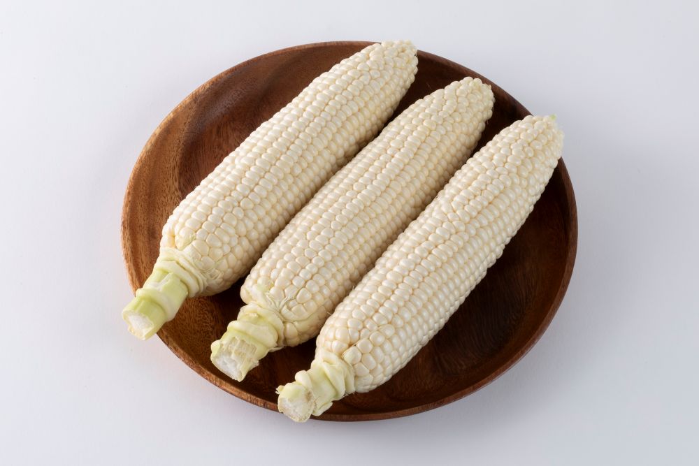 渡辺採種場 トウモロコシ種子 白くてんめぇとみぎ【取り寄せ注文】