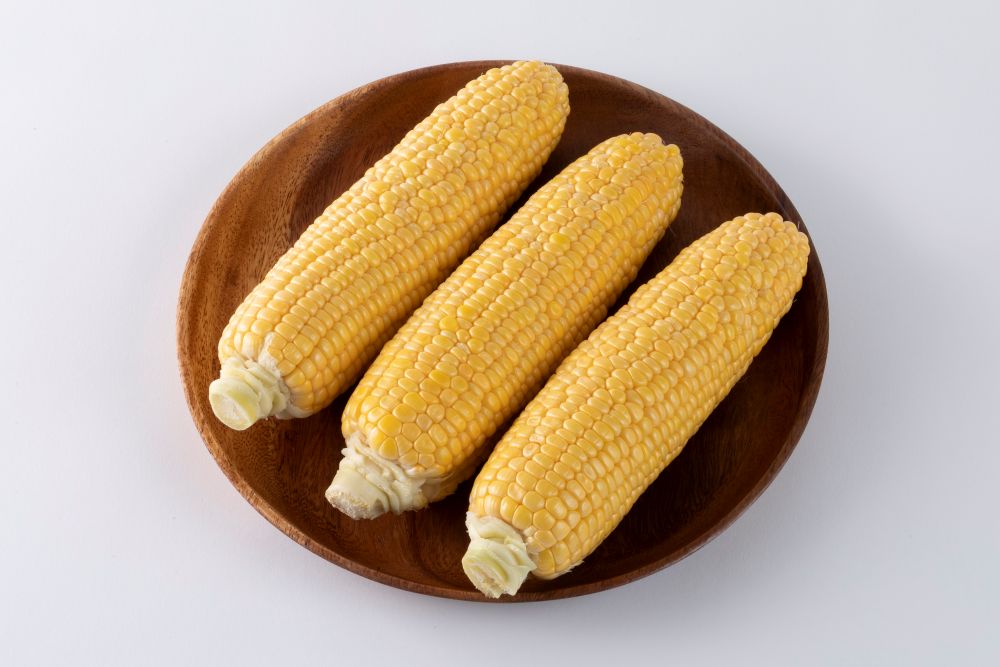 渡辺採種場 トウモロコシ種子 んめぇとみぎ86【取り寄せ注文】