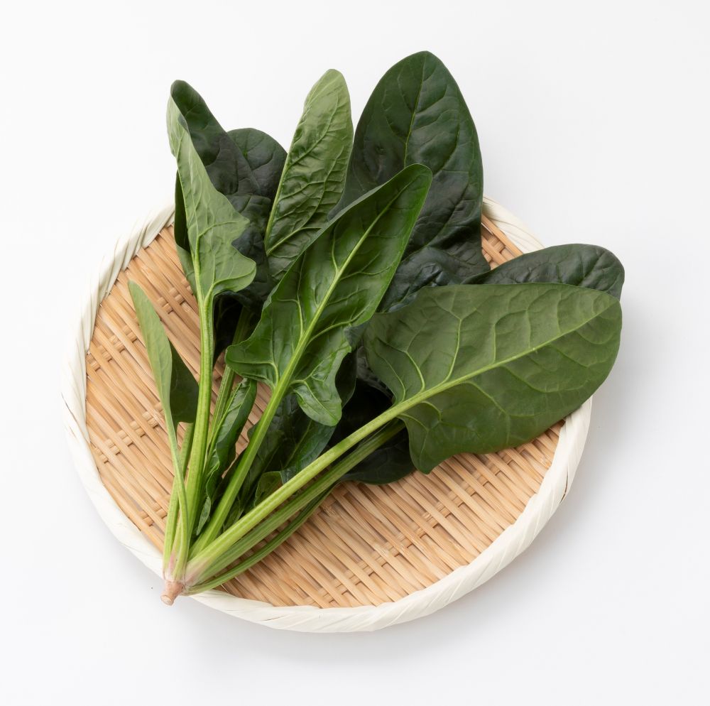 渡辺採種場 ホウレンソウ種子 マーベラス【取り寄せ注文】