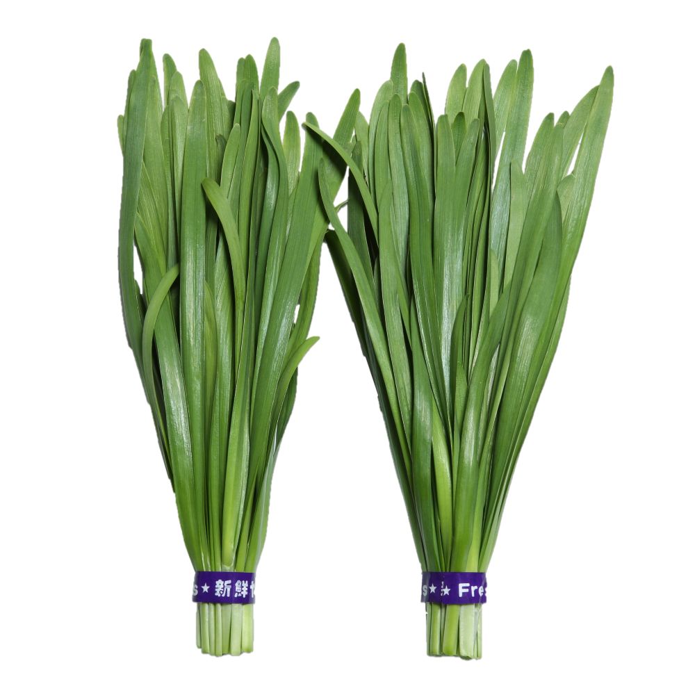 渡辺採種場 ニラ種子 ショートスリープ【取り寄せ注文】