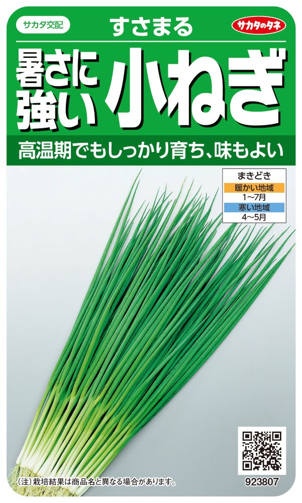 サカタのタネ ネギ種子 暑さに強い小ねぎ すさまる（923807）【取り寄せ注文】