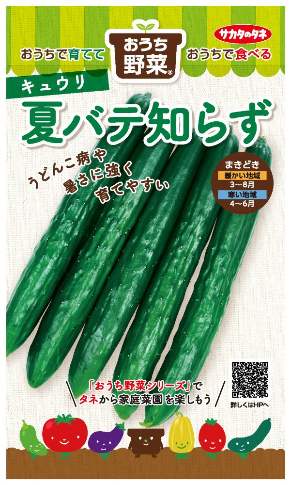 サカタのタネ キュウリ種子 夏バテ知らず 実咲小袋【取り寄せ注文】※通年商品