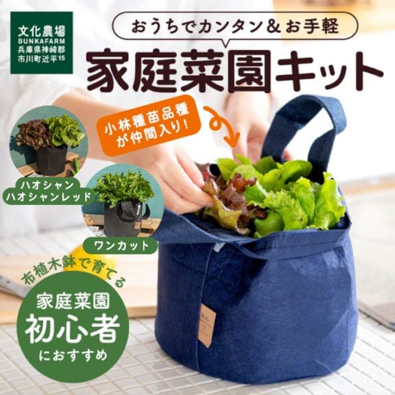 【コラボ商品】文化農場×小林種苗　家庭菜園キット ※納期日を後日お伺い ※受注生産となりますので予約は2026年2月28日まで受付ております