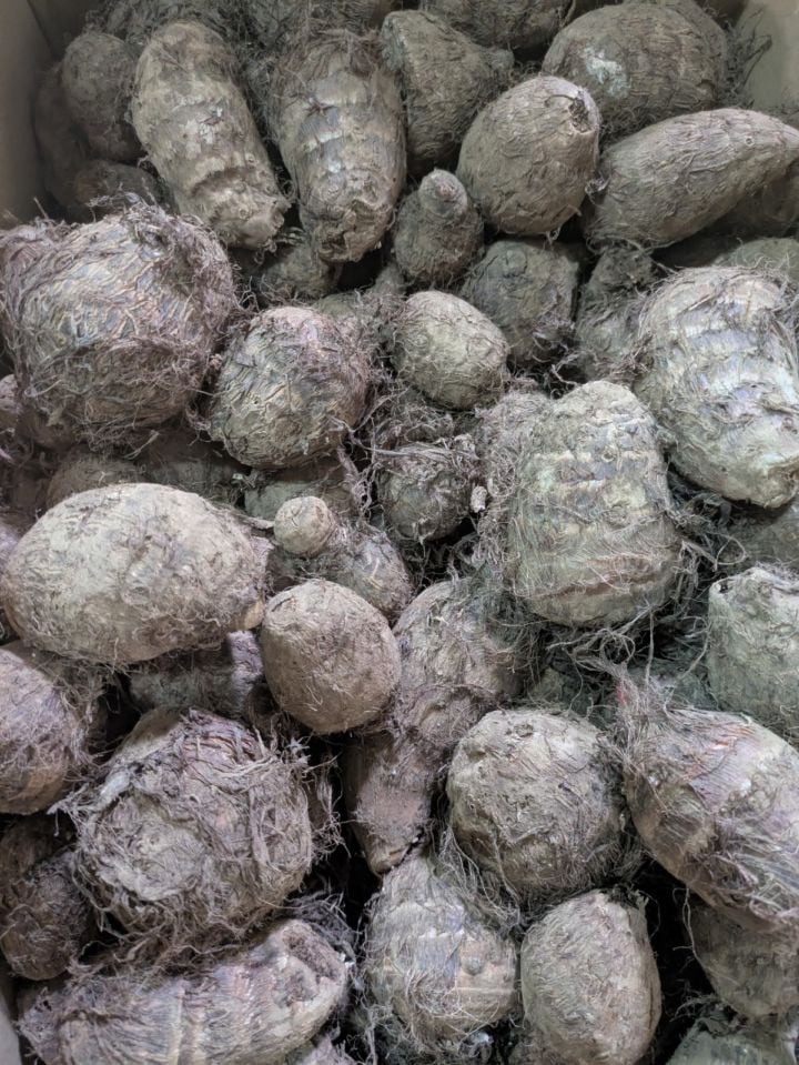 <{$recommend_item.list[i].name}>