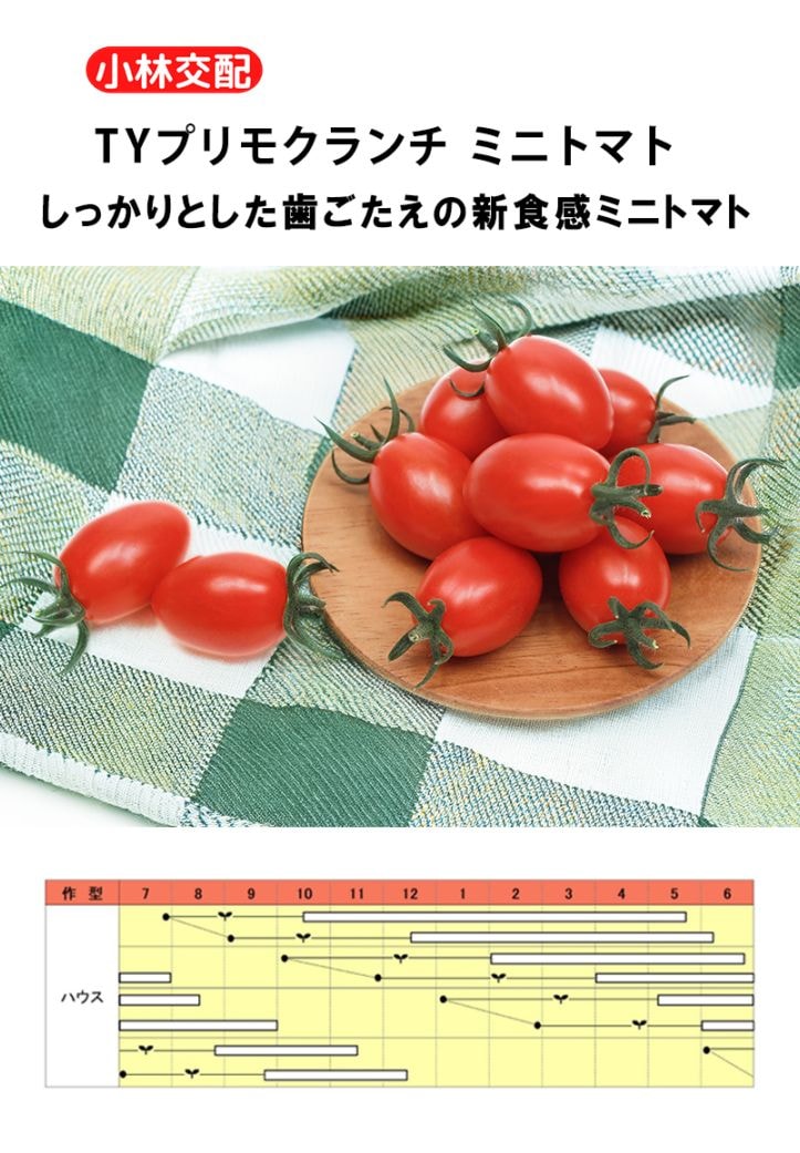 小林種苗 ミニトマト種子 プリモクランチ ＊有効期限2027年1月末