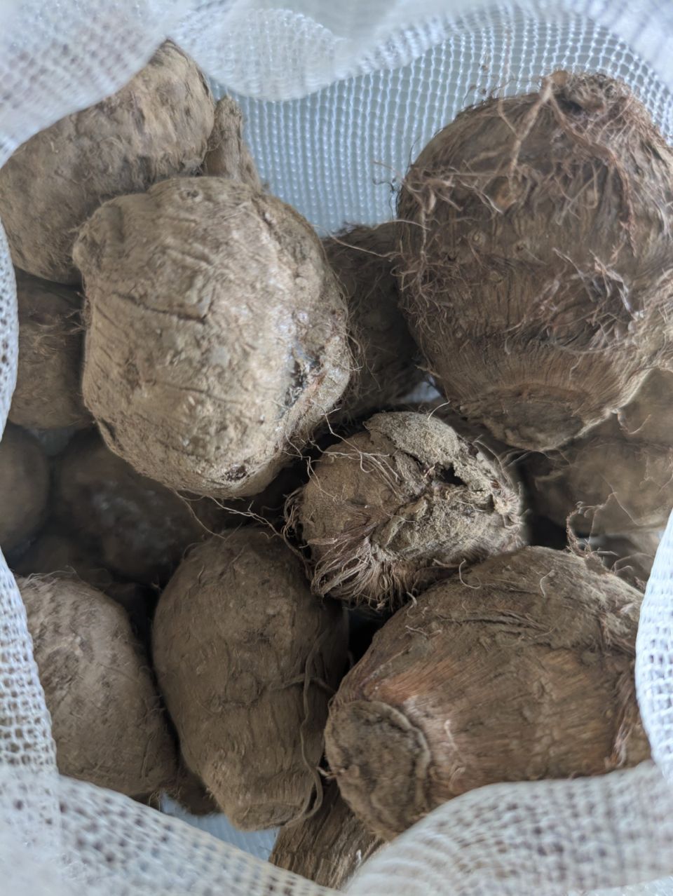 <{$recommend_item.list[i].name}>