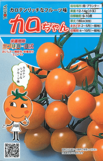 【キャンセル特価品】トキタ種苗 カロちゃん 小袋 ＊種子有効期限2026年10月末有効