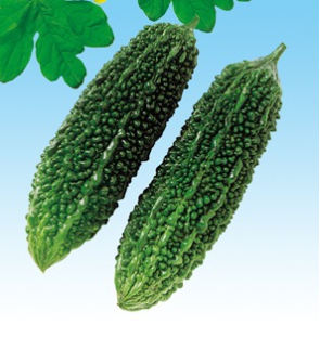 【キャンセル特価品】中原採種場 節成ゴーヤ230 小袋 ＊種子有効期限2026年11月末有効