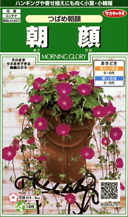 【キャンセル特価品】サカタのタネ つばめ 朝顔 小袋 ＊種子有効期限2026年10月末有効