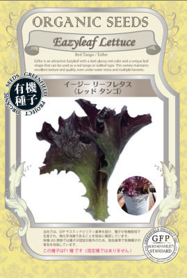 GFP[A707]イージー リーフレタス＜レッド タンゴ＞【有機種子・固定種】*種子有効期限2026年11月末