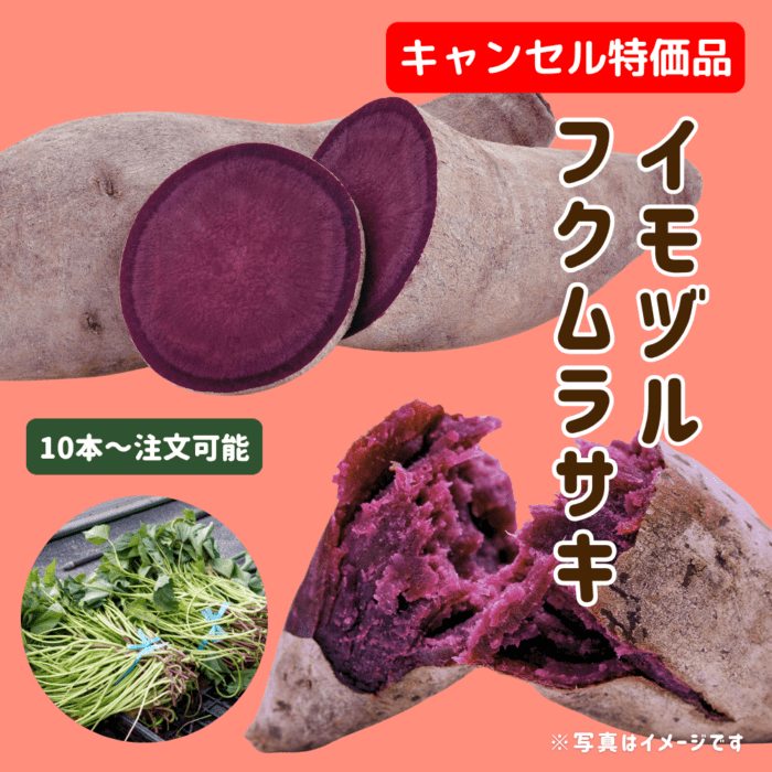 <{$recommend_item.list[i].name}>