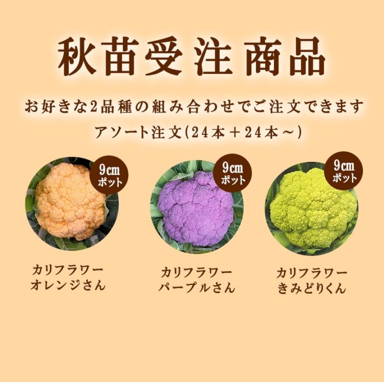 お客様お問い合わせ、野菜苗注文承ります。 お客様お問い合わせ、野菜苗注文承ります。 【公式通販】