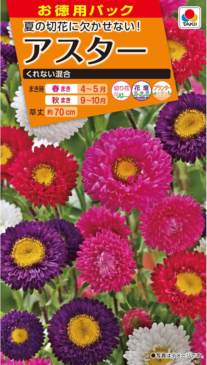 タキイ NL徳用 アスター くれない 混合 小袋 [FAS549]【取り寄せ注文】【2027年春種予約商品】＊春のみ商品