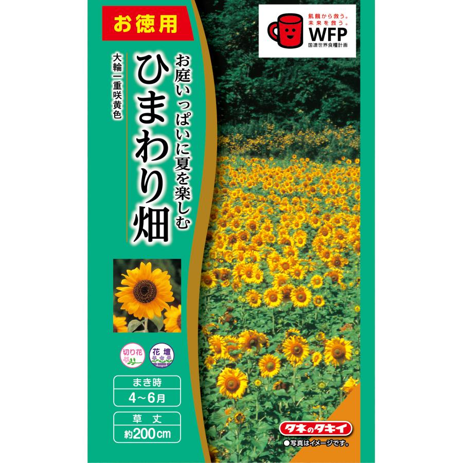 タキイ NL徳用 ひまわり畑 大輪一重咲黄色 小袋 [FHM105]【取り寄せ注文】【2027年春種予約商品】＊春のみ商品