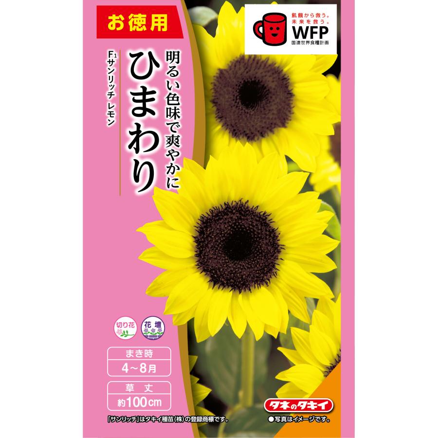 タキイ NL徳用 切花向 ひまわり F1 サンリッチレモン 小袋[FHM601]【取り寄せ注文】【2027年春種予約商品】＊春のみ商品