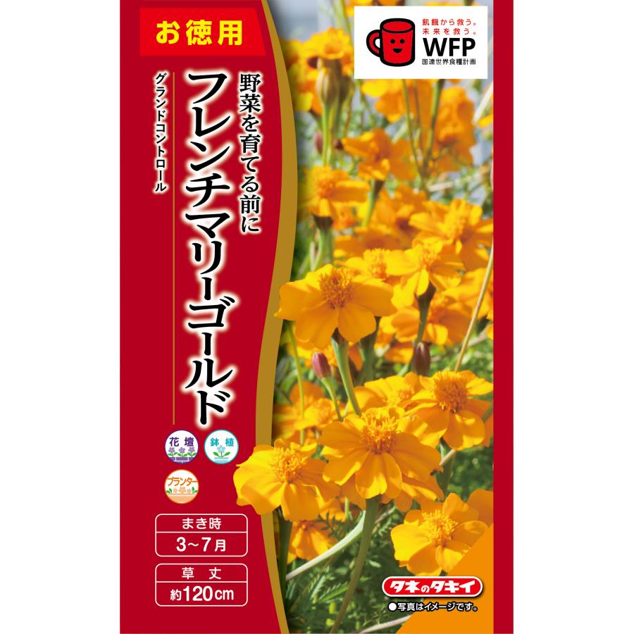 タキイ NL徳用 フレンチマリーゴールド グランドコントロール 小袋[FKJA00]【取り寄せ注文】【2027年春種予約商品】＊春のみ商品