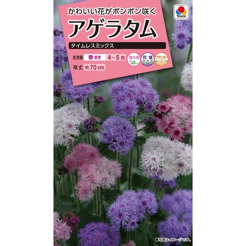 タキイ NL300 アゲラタム タイムレス ミックス 小袋 [FAGA00]【取り寄せ注文】【2027年春種予約商品】＊春のみ商品