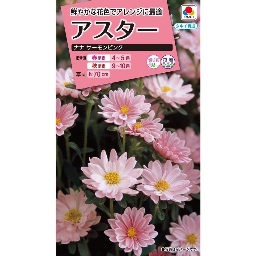 タキイ NL300 アスター ナナサーモンピンク 小袋 [FAS385]【取り寄せ注文】【2027年春種予約商品】＊春のみ商品