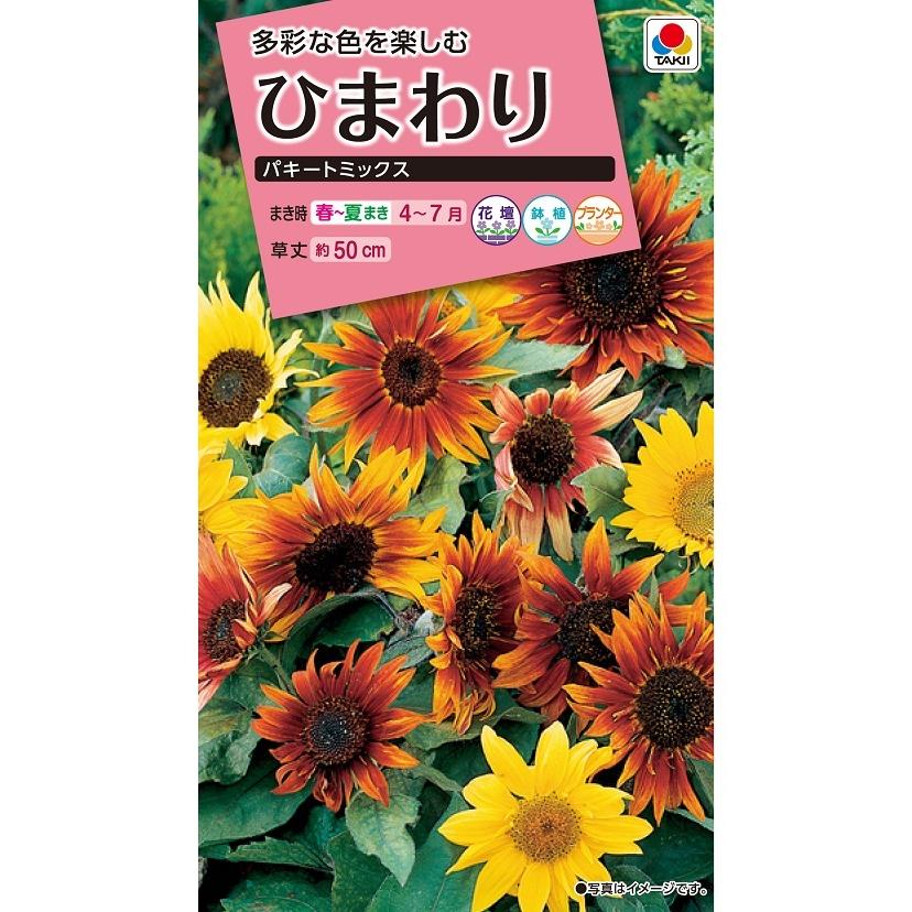 タキイ NL300 ひまわり パキートミックス 小袋[FHM540]【取り寄せ注文】【2027年春種予約商品】＊春のみ商品