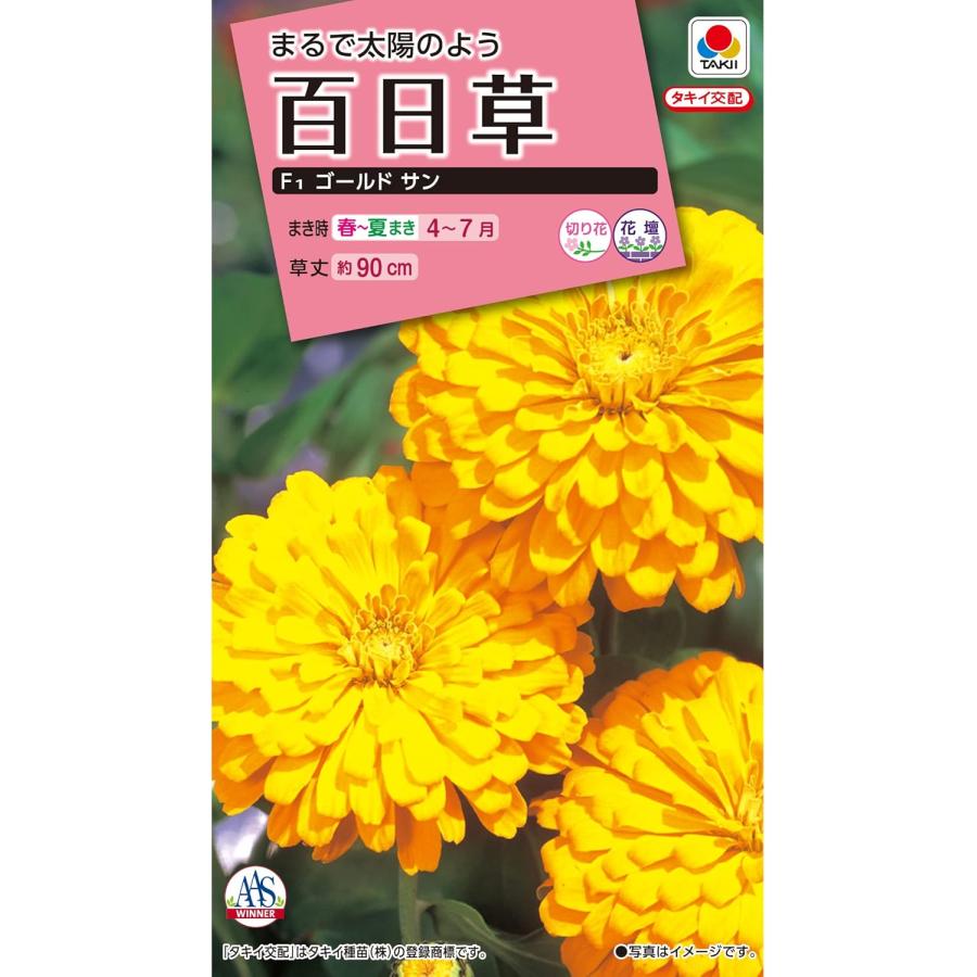 タキイ NL300 百日草 F1ゴールドサン 小袋[FZN641]【取り寄せ注文】【2027年春種予約商品】＊春のみ商品