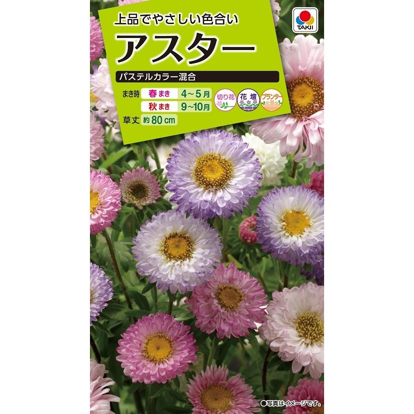 タキイ NL200 アスター パステルカラー混 小袋[FAS629]【取り寄せ注文】【2027年春種予約商品】＊春のみ商品