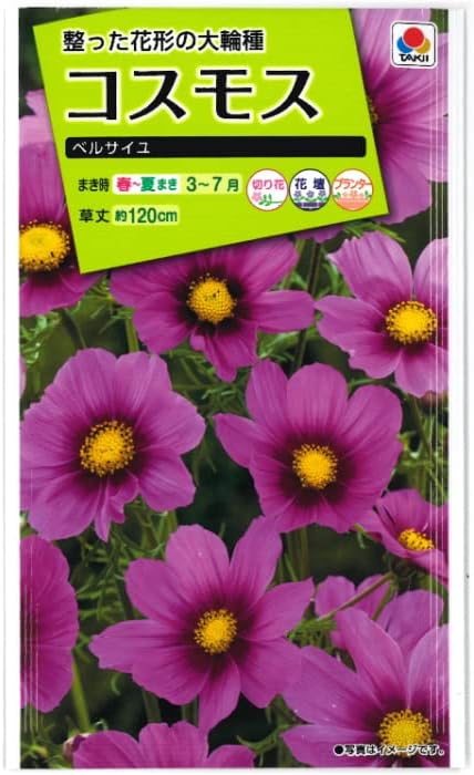 タキイ NL200 コスモス ベルサイユ 小袋[FCS121]【取り寄せ注文】【2027年春種予約商品】＊春のみ商品