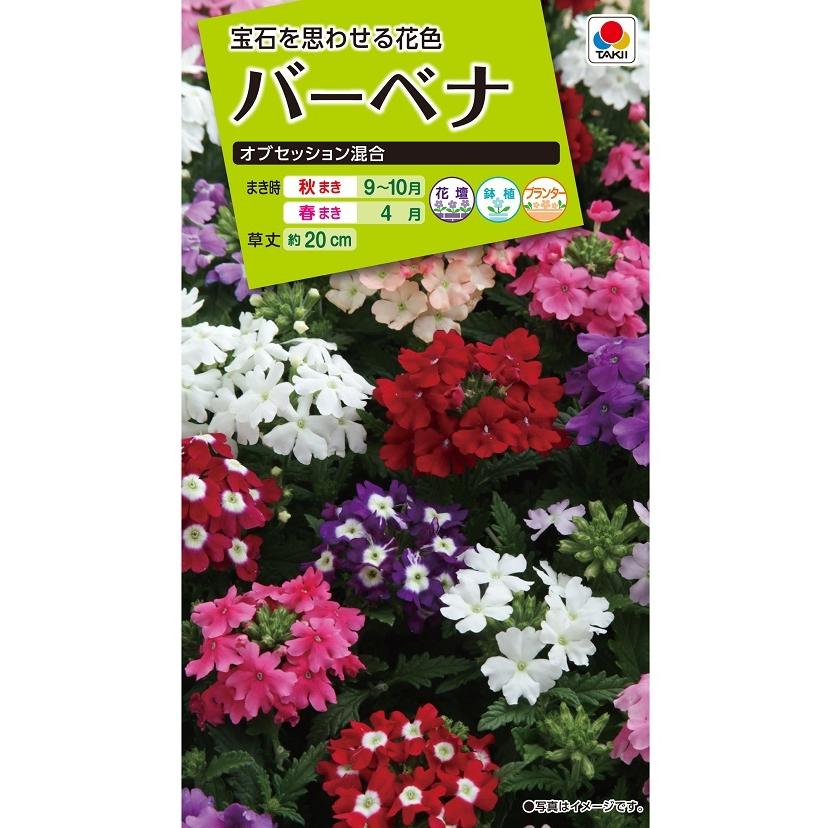 タキイ NL200 バーベナ オブセッション混合 小袋[FBB320]【取り寄せ注文】【2027年春種予約商品】＊春のみ商品