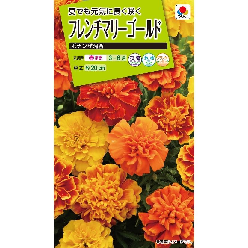 タキイ NL200 フレンチマリーゴールド ボナンザ混合 小袋[FKJ250]【取り寄せ注文】【2027年春種予約商品】＊春のみ商品