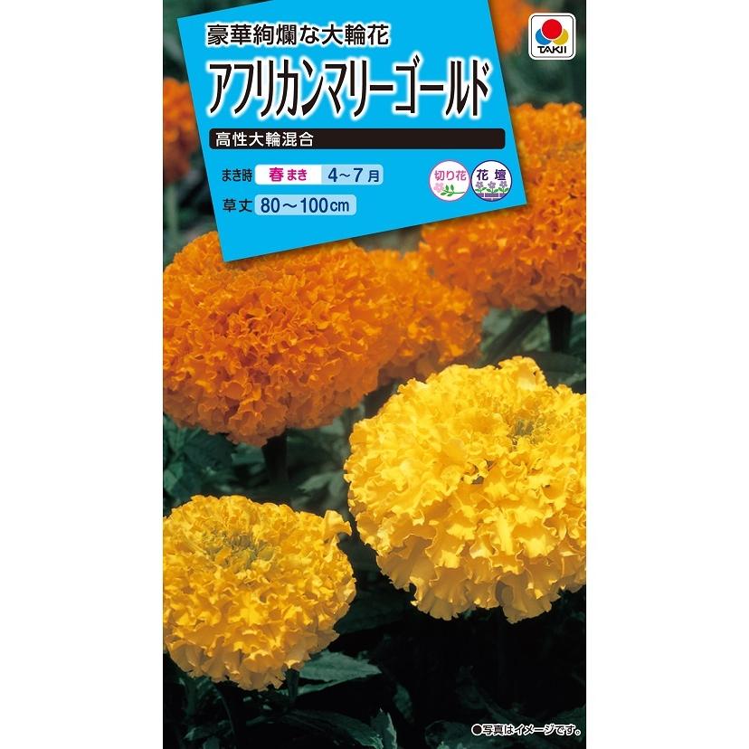 タキイ NL150 アフリカンマリーゴールド 高性大輪混合 小袋[FMN110]【取り寄せ注文】【2027年春種予約商品】＊春のみ商品