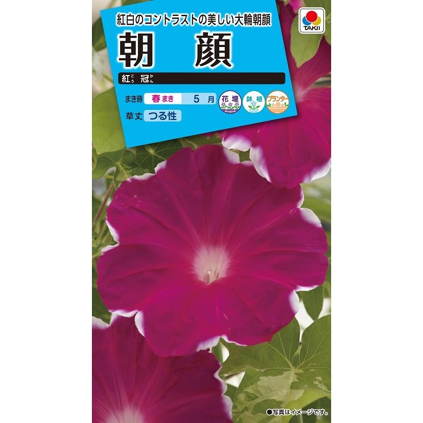 タキイ NL150 朝顔 紅冠 小袋[FAA540]【取り寄せ注文】【2027年春種予約商品】＊春のみ商品