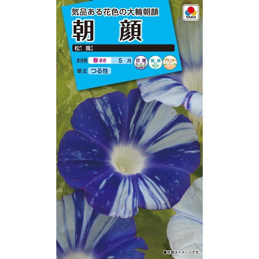 タキイ NL150 朝顔 松風 小袋[FAA650]【取り寄せ注文】【2027年春種予約商品】＊春のみ商品