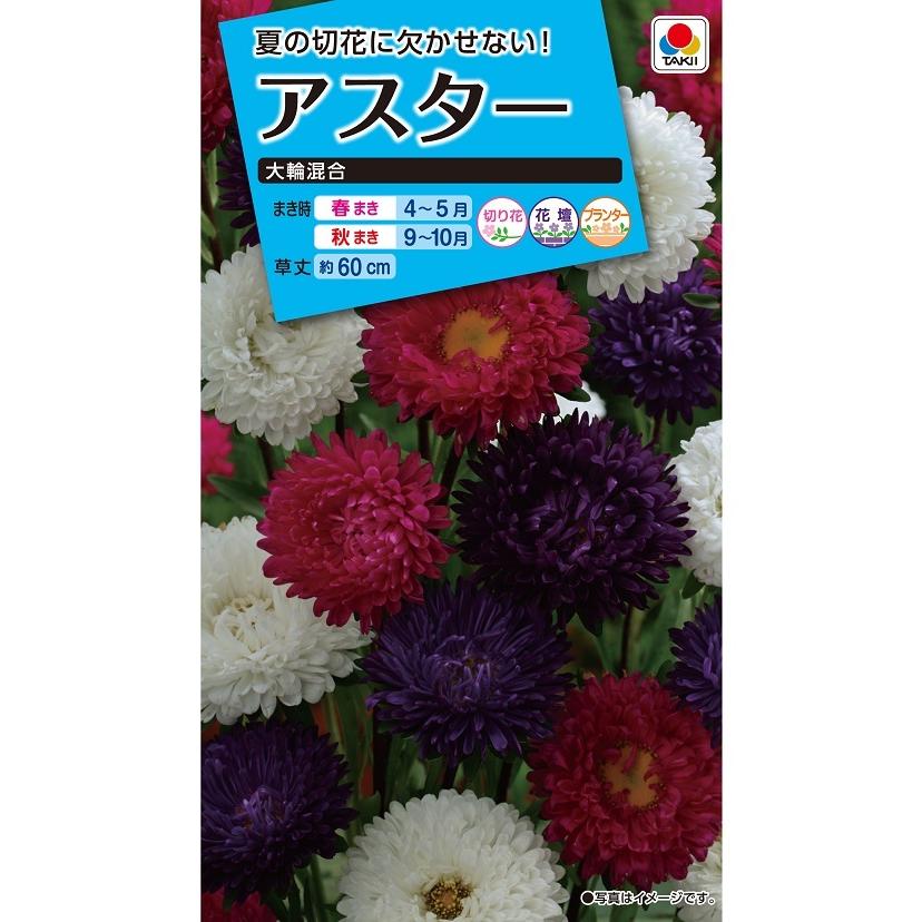 タキイ NL150 アスター 大輪混合 小袋[FAS060]【取り寄せ注文】【2027年春種予約商品】＊春のみ商品