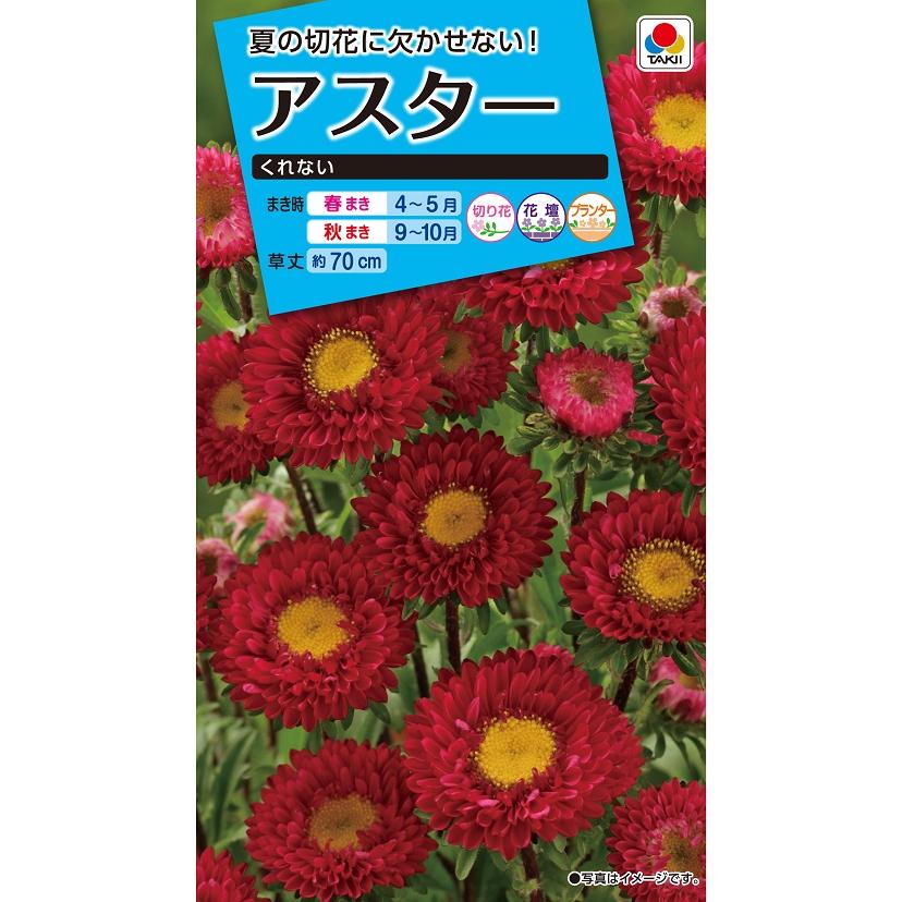 タキイ NL150 アスター くれない 小袋[FAS541]【取り寄せ注文】【2027年春種予約商品】＊春のみ商品