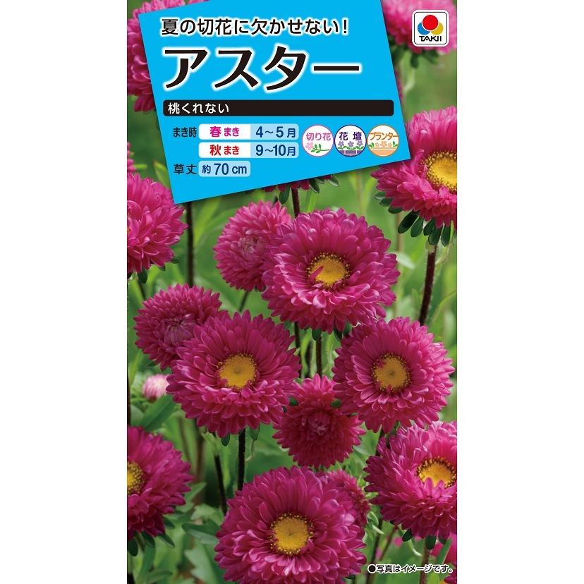 タキイ NL150 アスター 桃くれない 小袋[FAS553]【取り寄せ注文】【2027年春種予約商品】＊春のみ商品