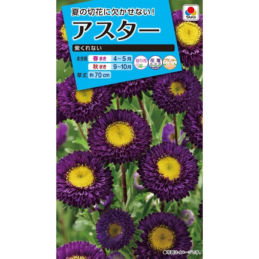 タキイ NL150 アスター 紫くれない 小袋[FAS561]【取り寄せ注文】【2027年春種予約商品】＊春のみ商品