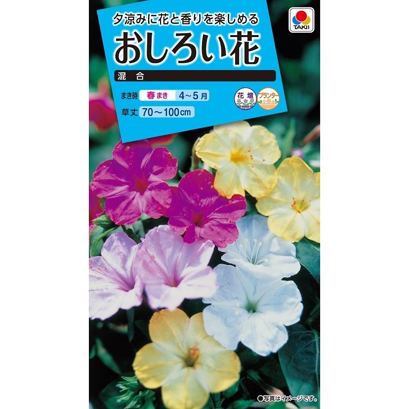 タキイ NL150 おしろい花 混合 小袋[FOS050]【取り寄せ注文】【2027年春種予約商品】＊春のみ商品