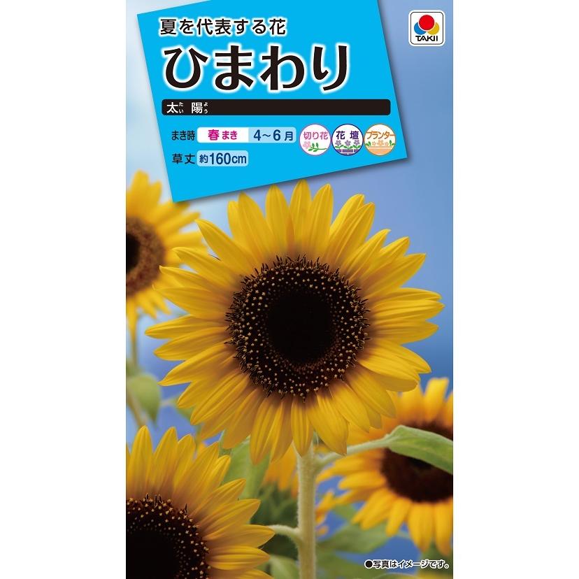 タキイ NL150 ひまわり 太陽 小袋[FHM116]【取り寄せ注文】【2027年春種予約商品】＊春のみ商品