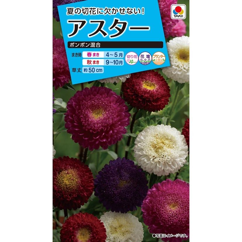 タキイ NL150 百日草 ポンポン咲混合 小袋[FZN319]【取り寄せ注文】【2027年春種予約商品】＊春のみ商品