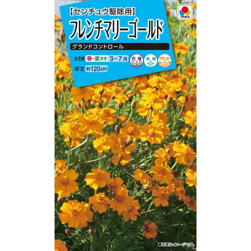 タキイ NL150 フレンチマリーゴールド グランドコントロール 小袋[FKJA01]【取り寄せ注文】【2027年春種予約商品】＊春のみ商品