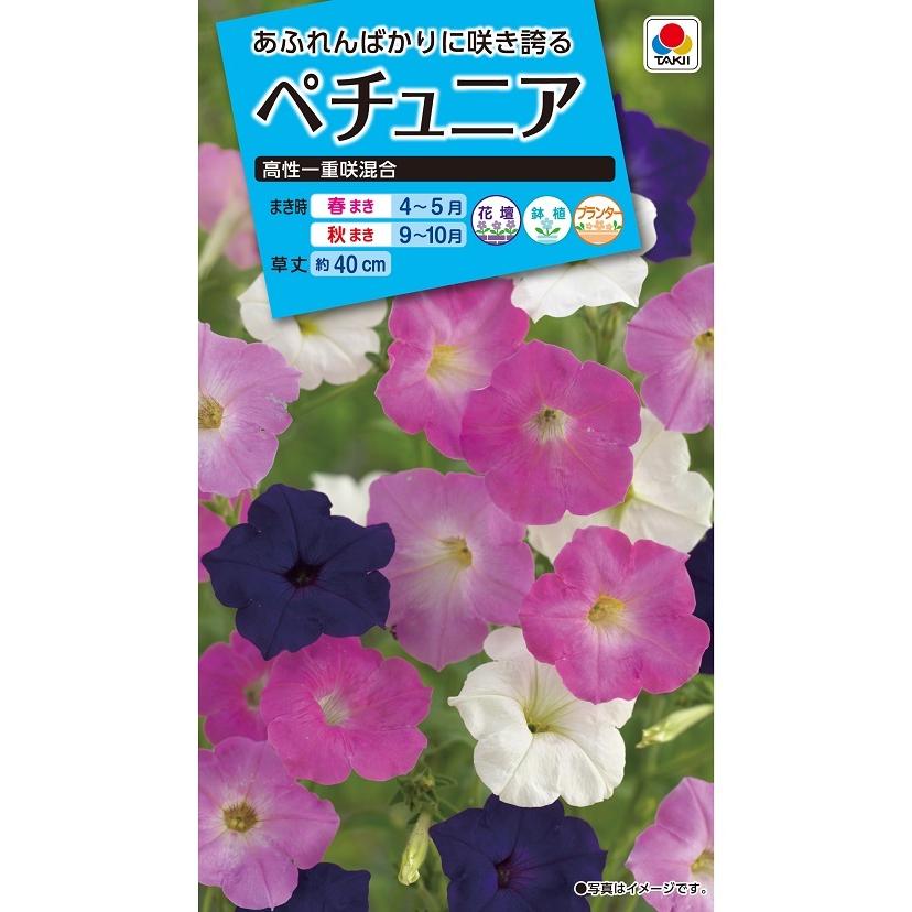 タキイ NL150 ペチュニア 高性一重咲混合 小袋[FPT110]【取り寄せ注文】【2027年春種予約商品】＊春のみ商品