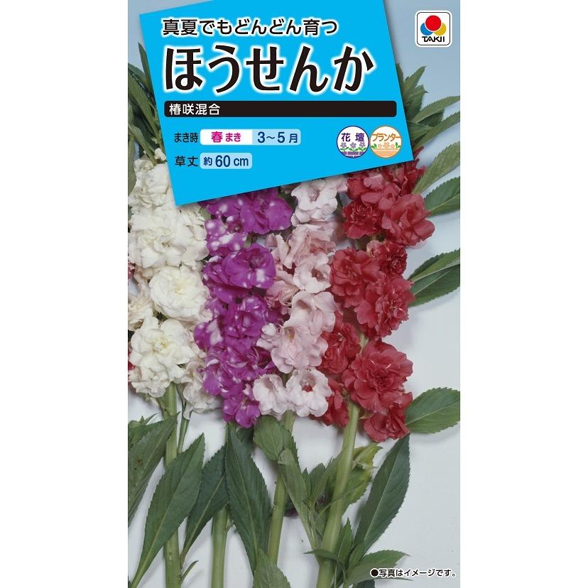 タキイ NL150 ほうせんか 椿咲混合 小袋[FHS119]【取り寄せ注文】【2027年春種予約商品】＊春のみ商品
