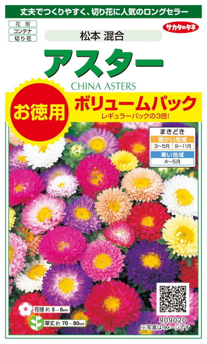 サカタのタネ アスター 松本 混合 お徳用ボリュームパック[909020]【取り寄せ注文】【2027年春種予約商品】＊春のみ商品