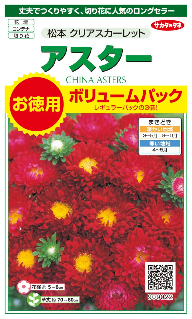 サカタのタネ アスター 松本 クリアスカーレット お徳用ボリュームパック[909022]【取り寄せ注文】【2027年春種予約商品】＊春のみ商品