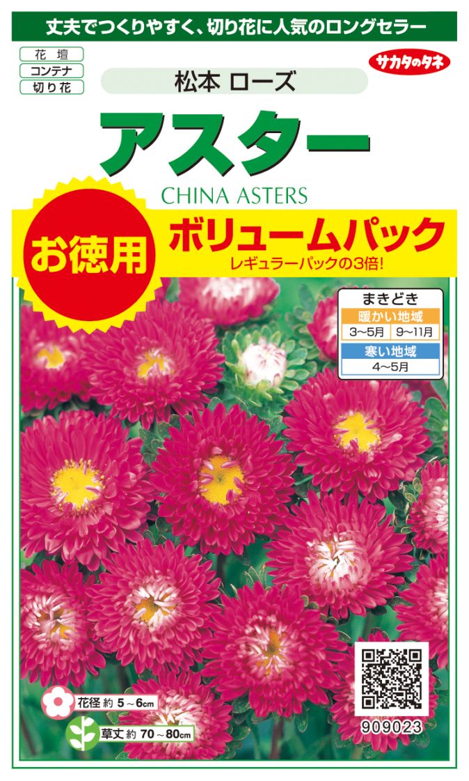 サカタのタネ アスター 松本 ローズ お徳用ボリュームパック[909023]【取り寄せ注文】【2027年春種予約商品】＊春のみ商品
