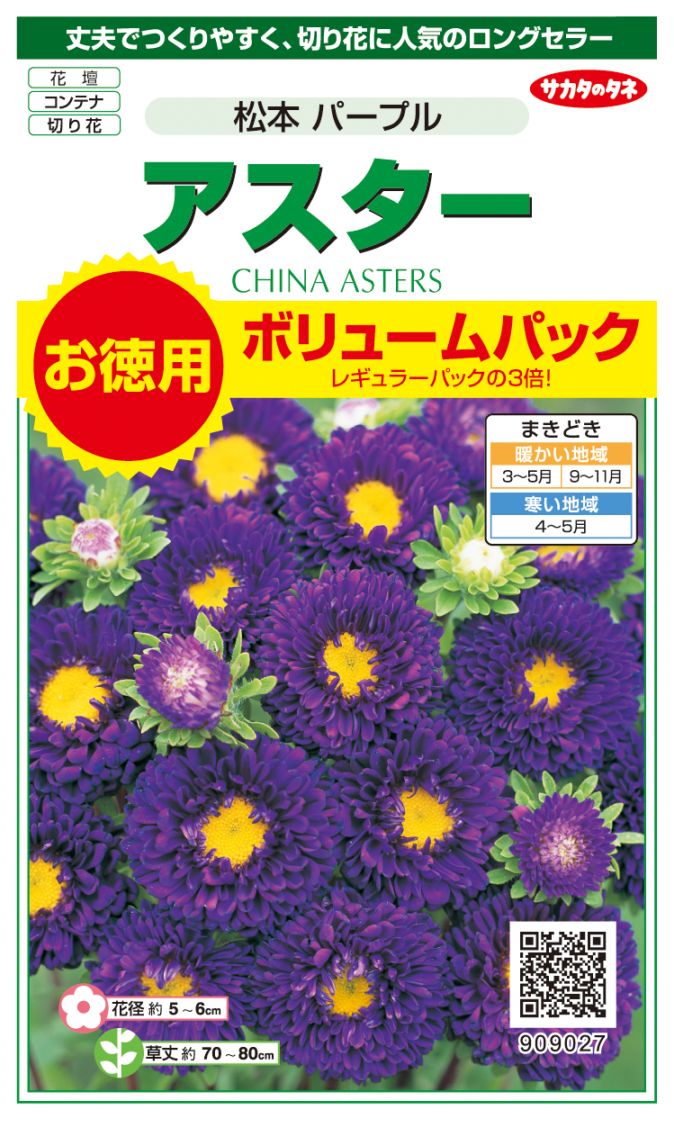 サカタのタネ アスター 松本 パープル お徳用ボリュームパック[909027]【取り寄せ注文】【2027年春種予約商品】＊春のみ商品