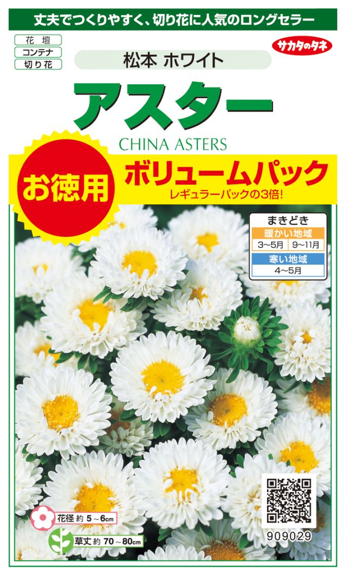 サカタのタネ アスター 松本 ホワイト お徳用ボリュームパック[909029]【取り寄せ注文】【2027年春種予約商品】＊春のみ商品
