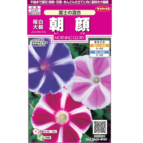 サカタのタネ 実咲350 曜白大輪 朝顔 富士の混合 小袋[905001]【取り寄せ注文】【2027年春種予約商品】＊春のみ商品
